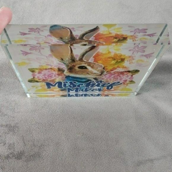 DanDee Peter Rabbit Mischief Maker Easter Table Decor Glass 5" x 5" Paperweight - Picture 4 of 6
